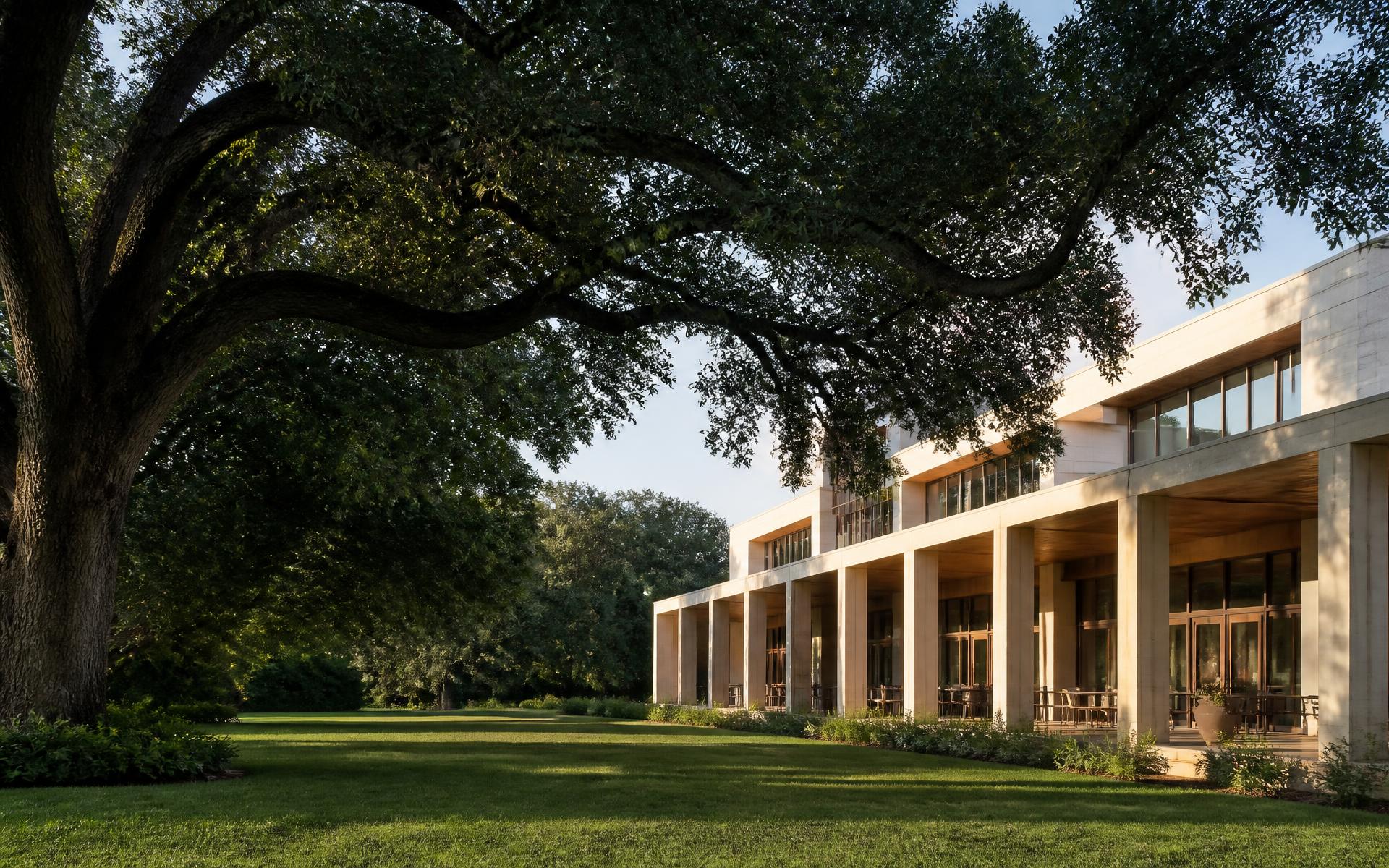 Contemporary Central Florida architecture beneath a mature live oak in warm natural light